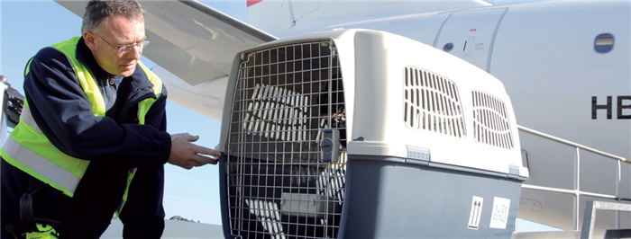 IATA Правила перевозки живых животных - Процедуры обращения с животными