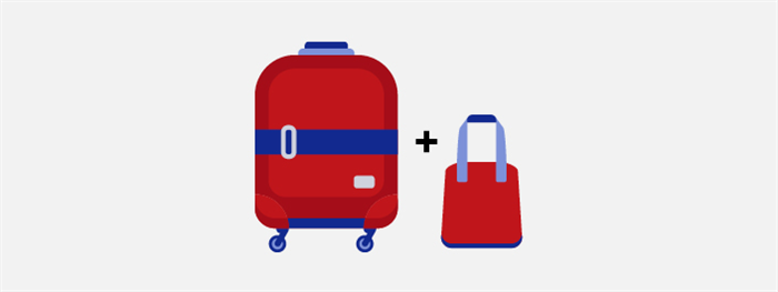 Иллюстрация нормы провоза багажа - чемодан плюс сумка