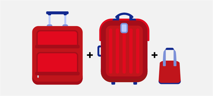 Иллюстрация нормы провоза багажа - два чемодана плюс сумка