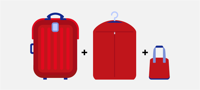 Иллюстрация нормы провоза багажа - один чемодан, одна сумка для одежды плюс сумочка