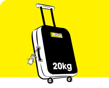 Допустимый вес зарегистрированного багажа FlyBag и FlyBagEat