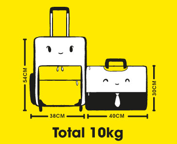 Нормы веса и габаритов багажа в салоне экономического класса