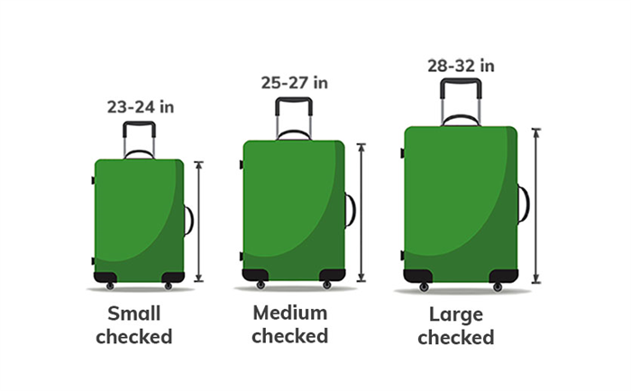 Различные размеры зарегистрированного багажа: малый, средний и большой зарегистрированный багаж